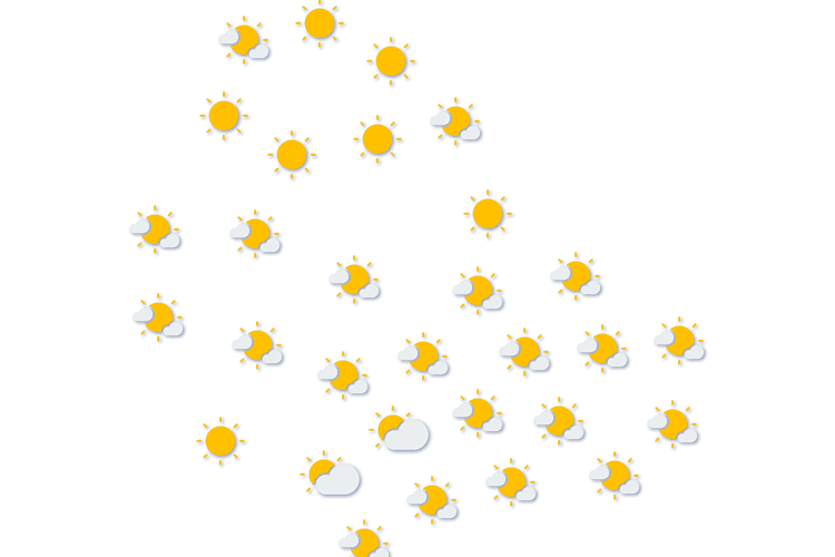 Forecast