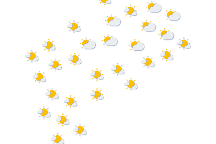 Forecast