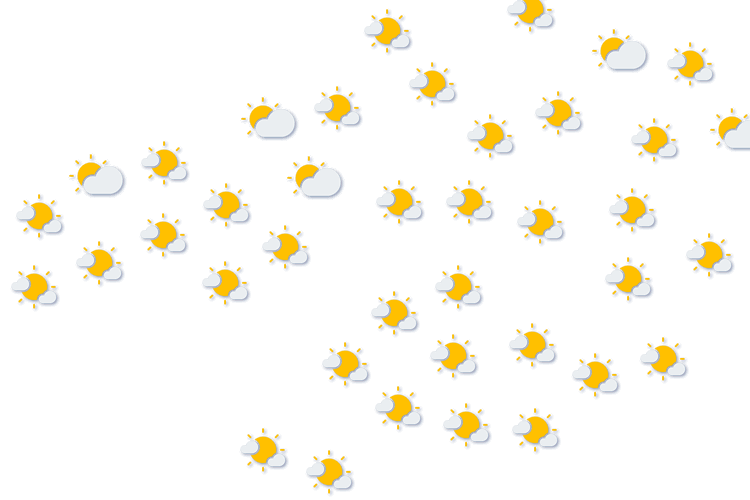Forecast