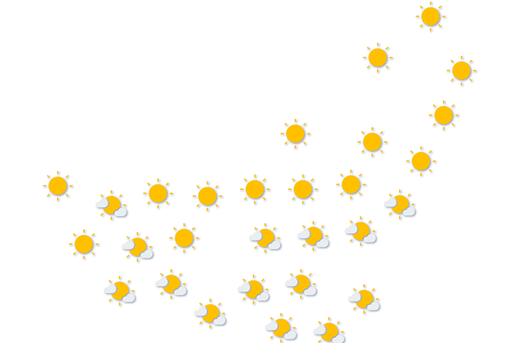 Forecast