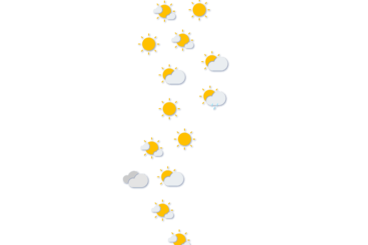 Forecast