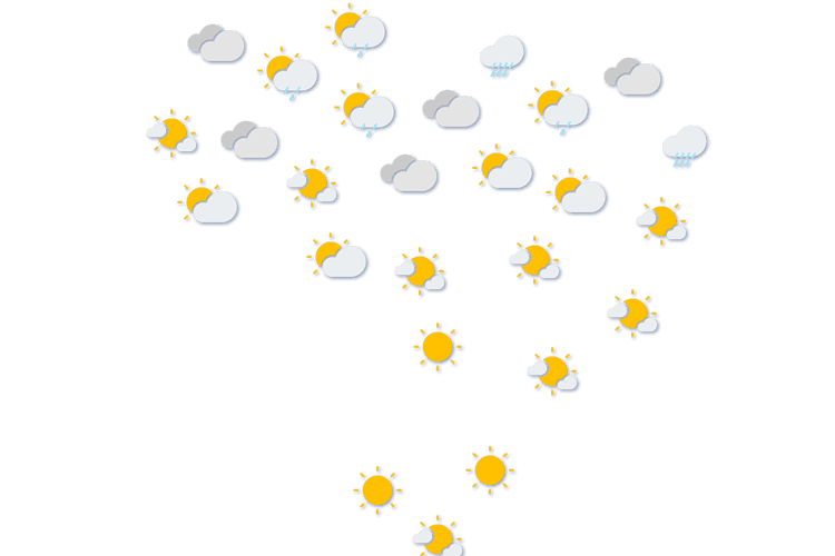Forecast