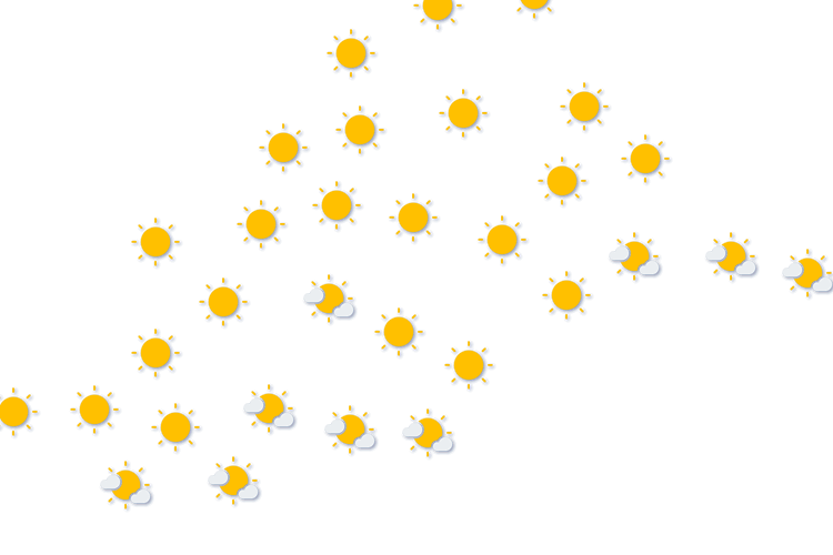 Forecast