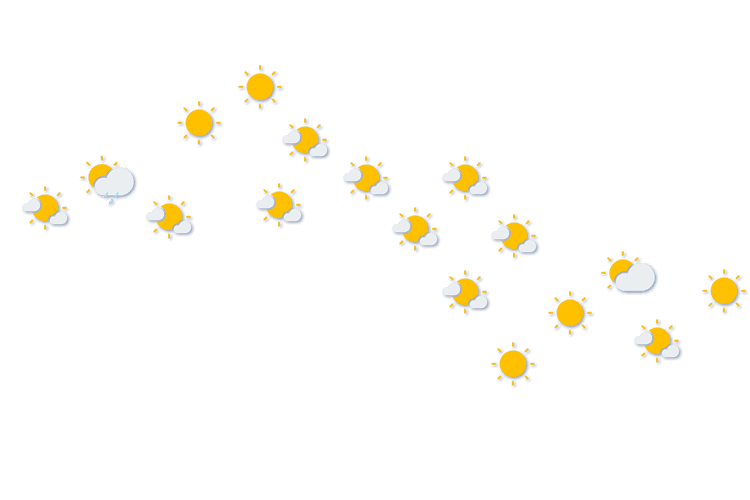 Forecast