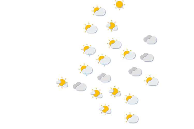 Forecast