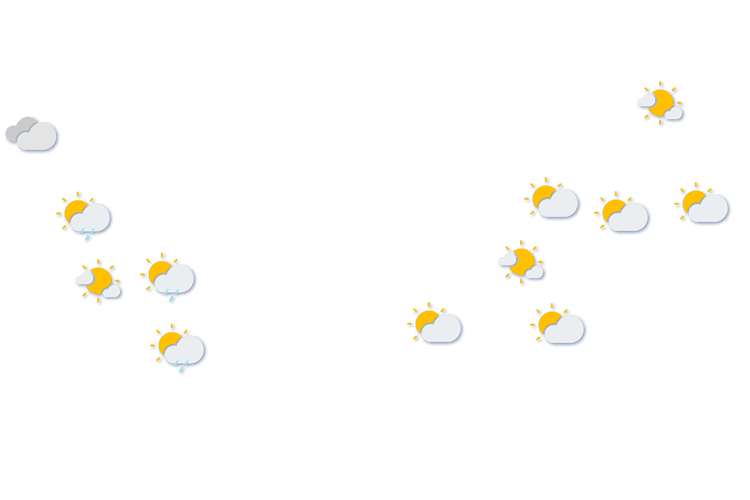 Forecast