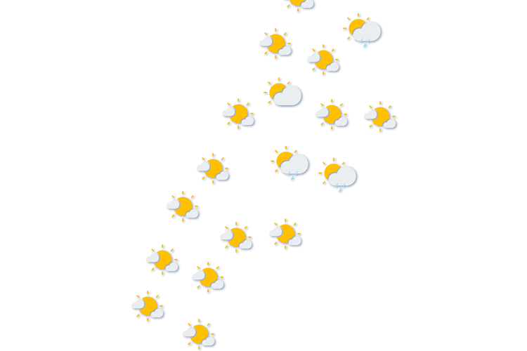 Forecast