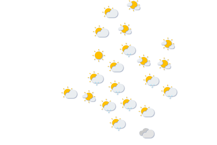 Forecast