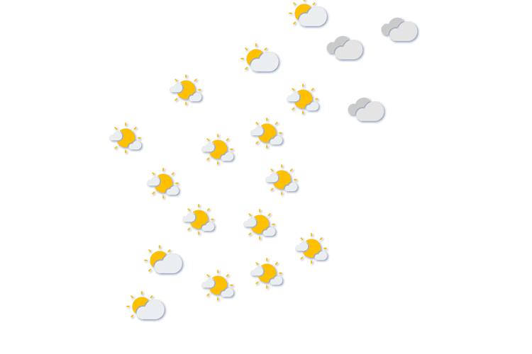 Forecast