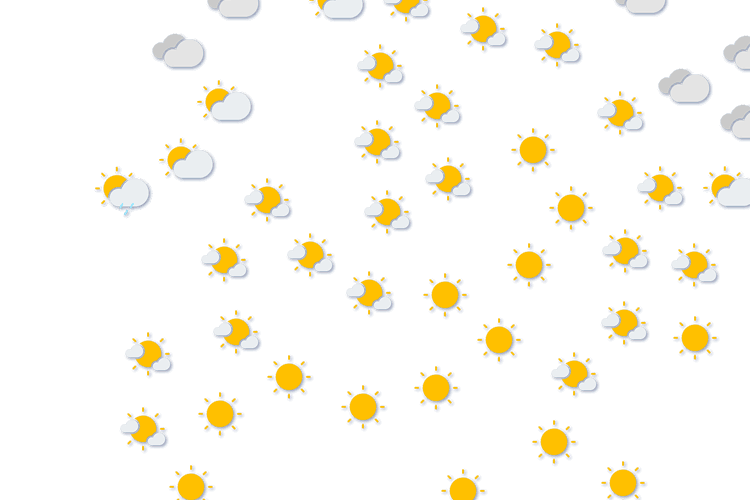 Forecast