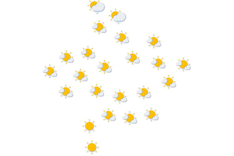 Forecast