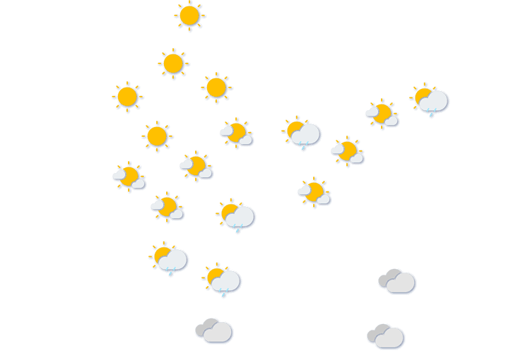 Forecast