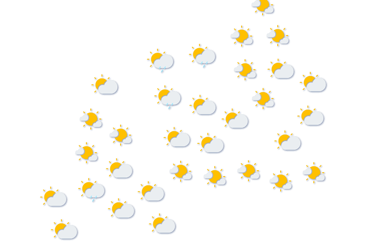 Forecast