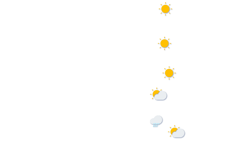 Forecast