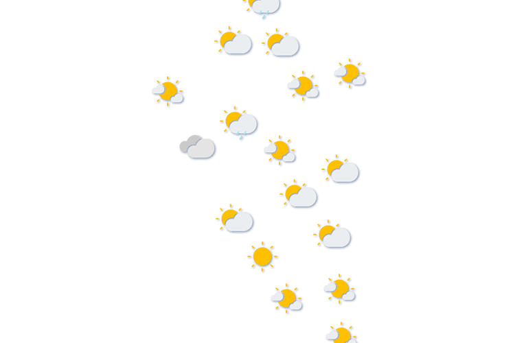 Forecast