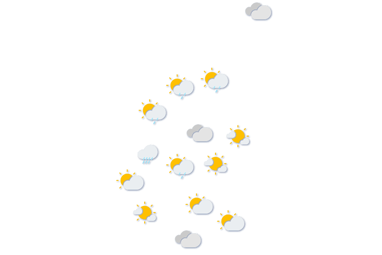 Forecast