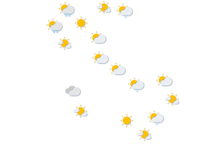 Forecast
