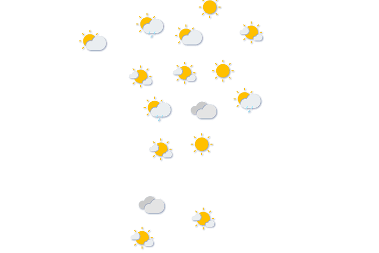 Forecast