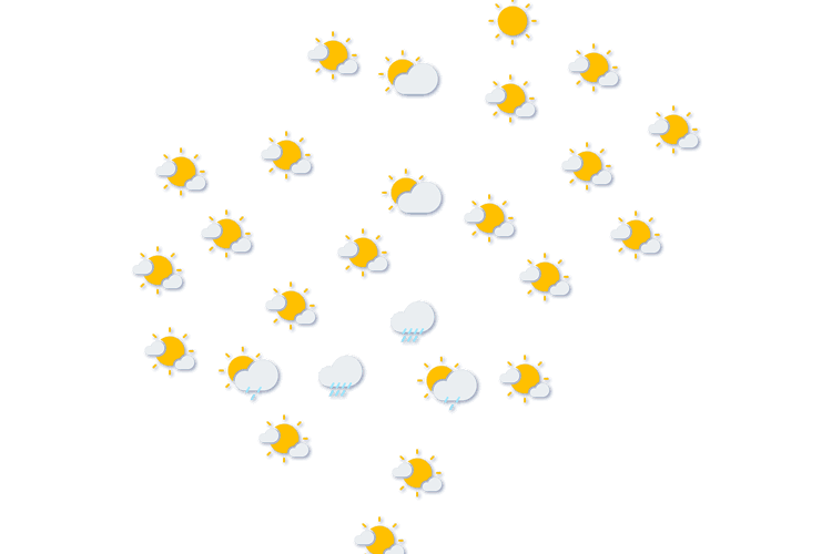 Forecast