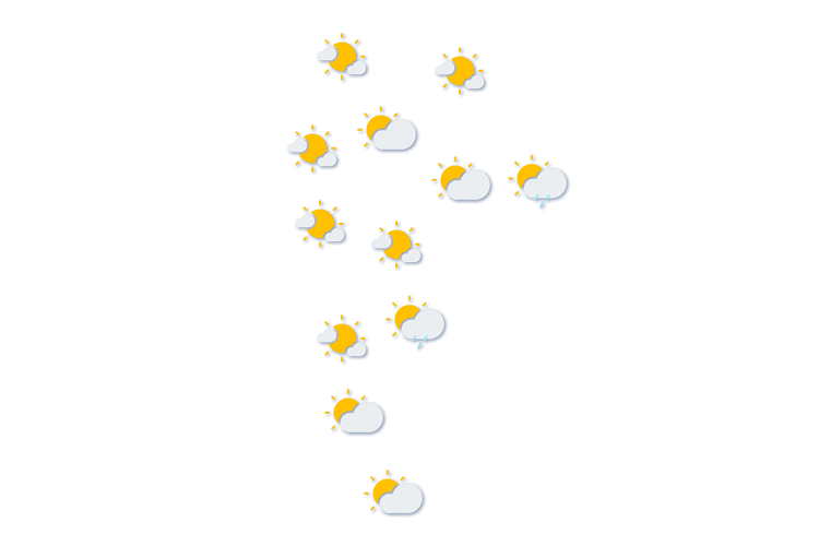 Forecast