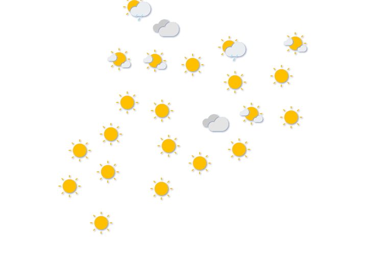 Forecast