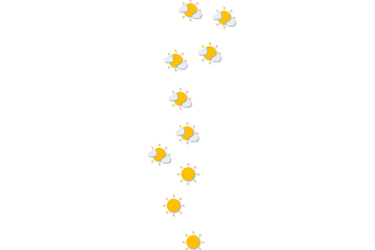 Forecast