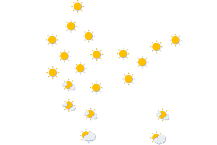 Forecast