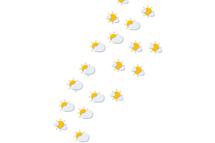 Forecast