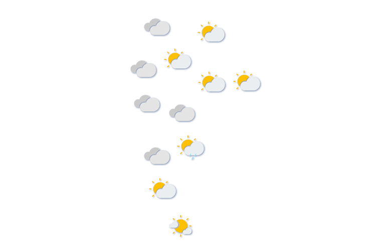 Forecast
