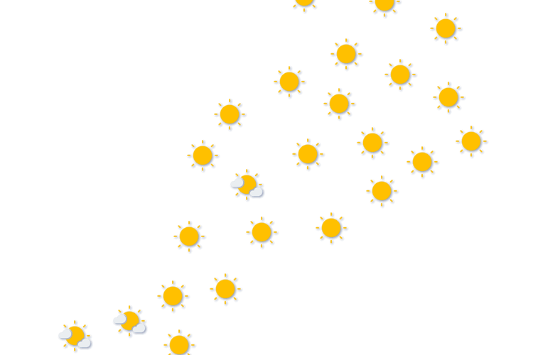 Forecast