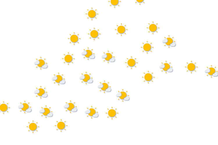 Forecast