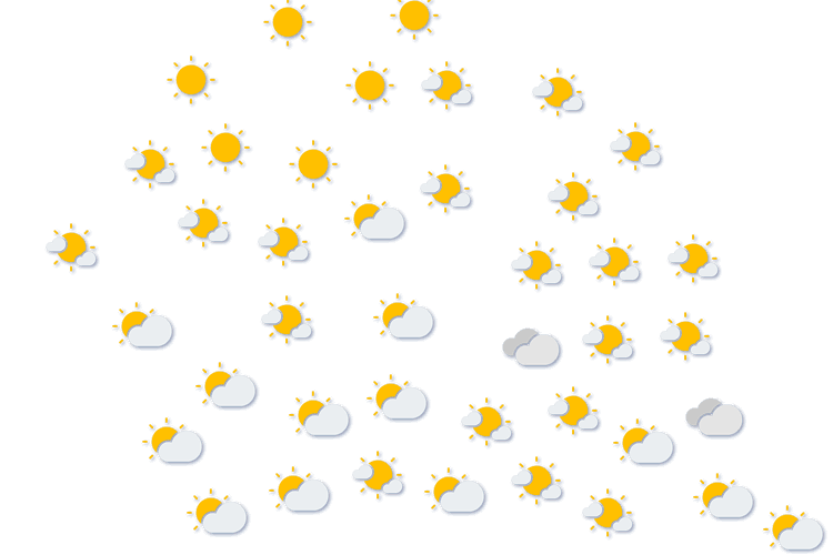 Forecast