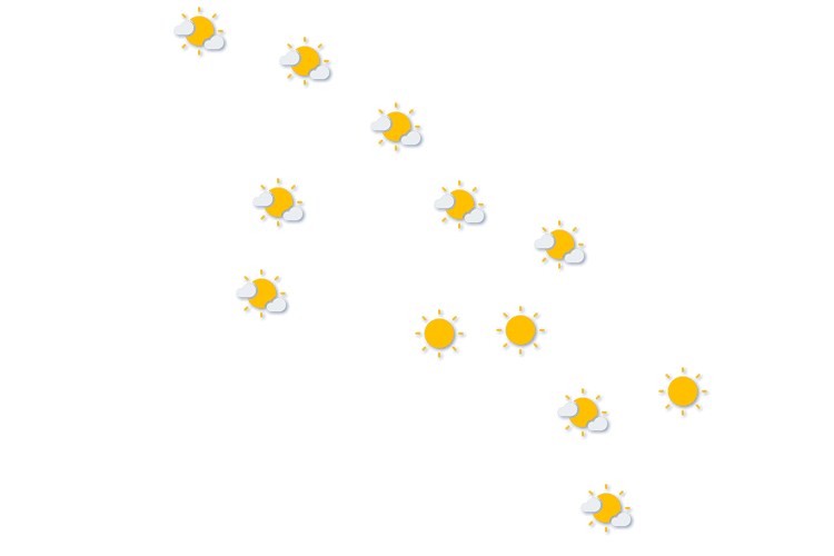 Forecast