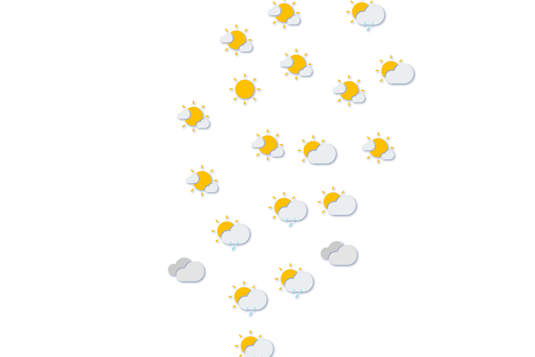 Forecast