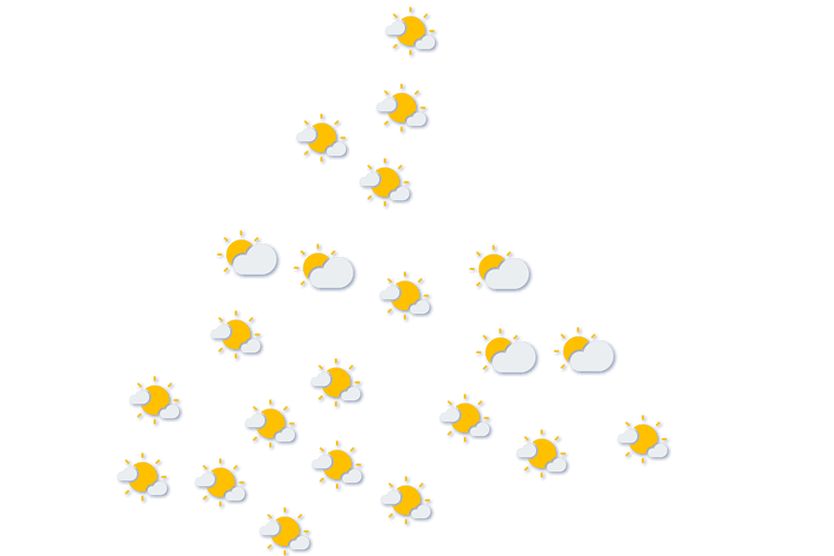 Forecast