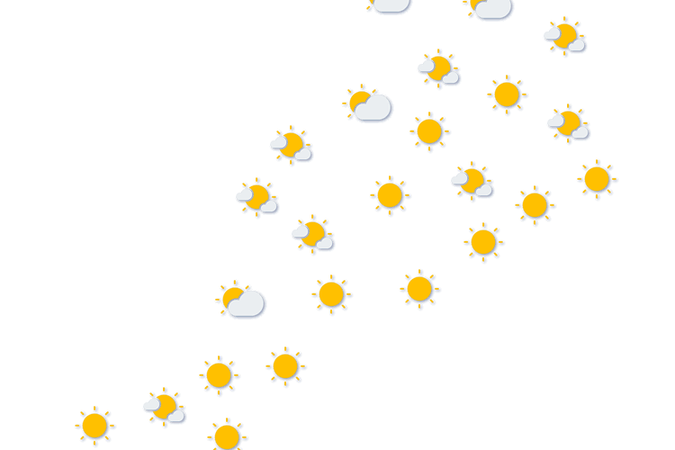 Forecast