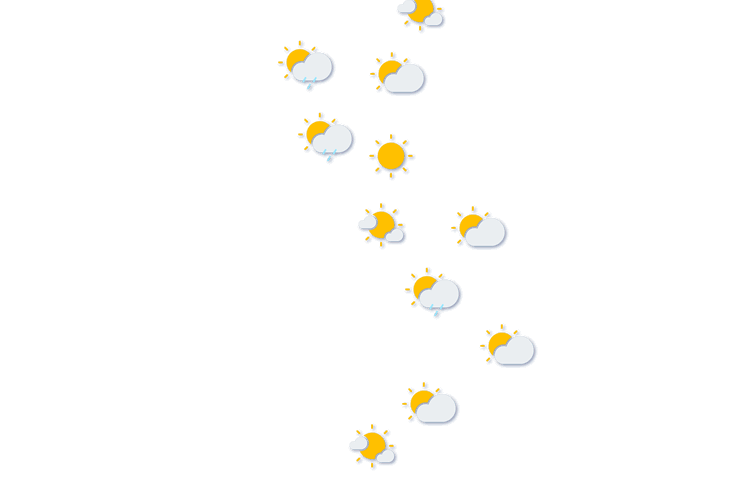 Forecast
