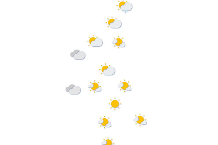 Forecast