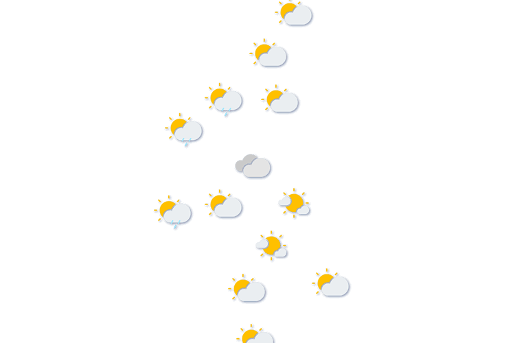 Forecast