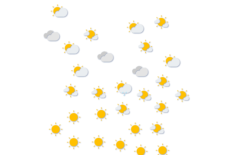 Forecast