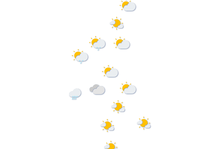 Forecast