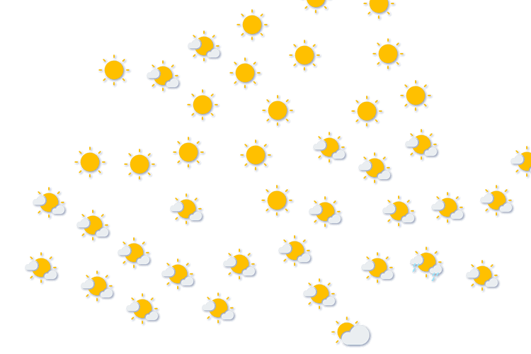 Forecast