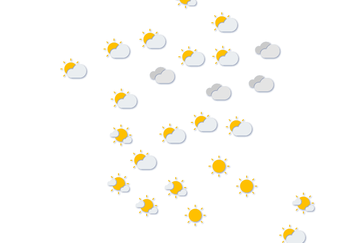 Forecast