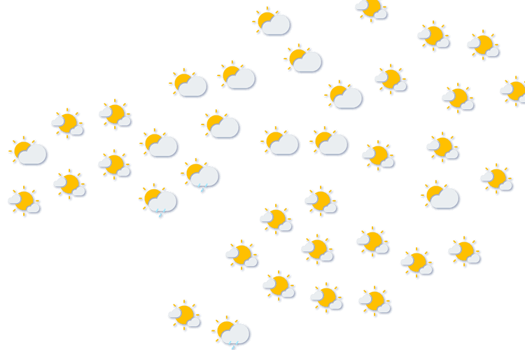 Forecast