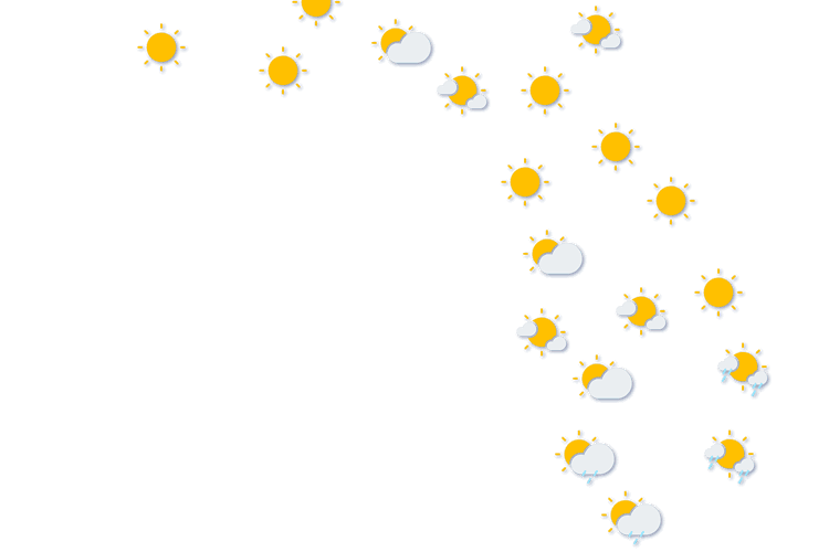 Forecast
