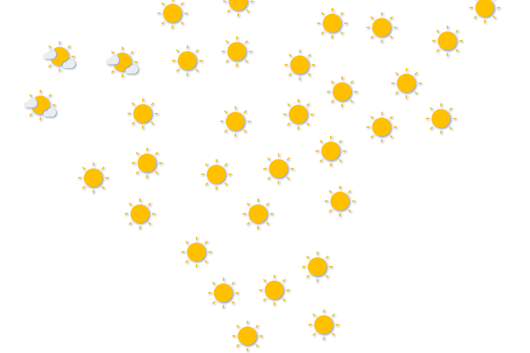 Forecast