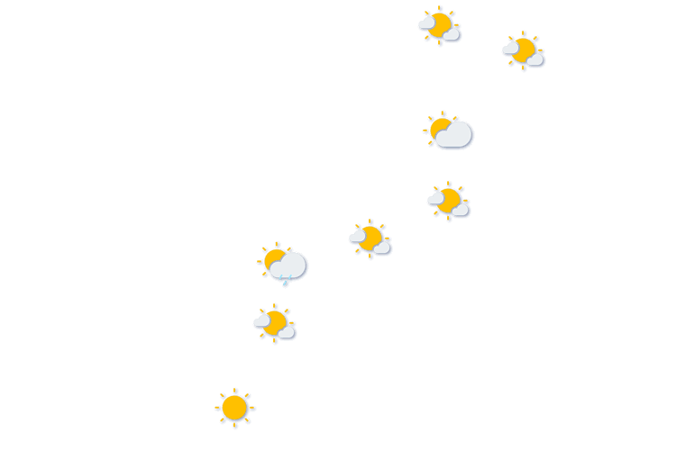 Forecast