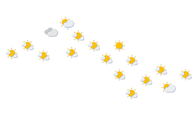 Forecast