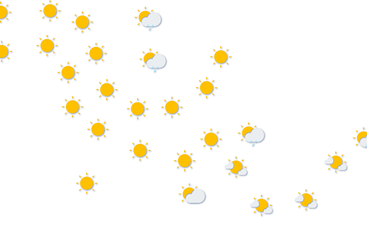 Forecast