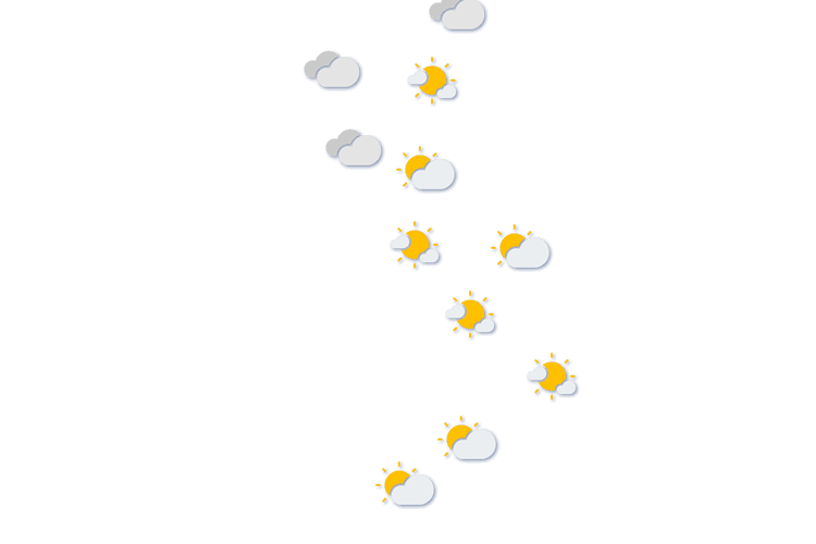 Forecast